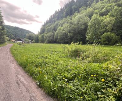 PREDAJ - Pozemky na výstavbu a rekreáciu v Motyčkách pri Donovaloch