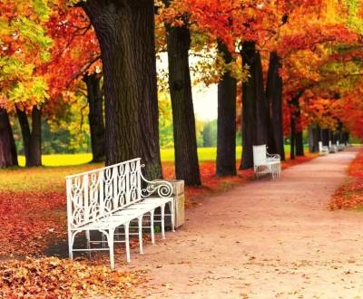 Nehnuteľnosť vhodná na DSS, Most pri Bratislave