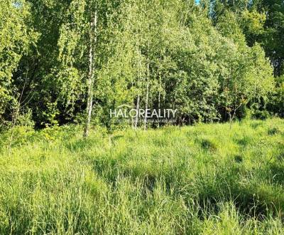 Predaj, pozemok pre rodinný dom   1882 m2 Detva - EX...