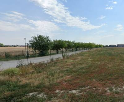 ROZSIAHLY AREÁL, MOST PRI BRATISLAVE