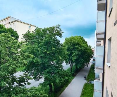 PRENÁJOM 2 IZBOVÉHO BYTU, RASTISLAVOVA UL., KOŠICE