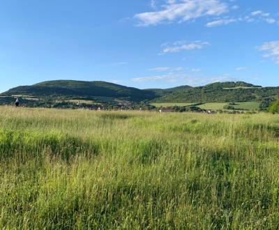 Predaj pozemok v prírode Jedľové Kostoľany