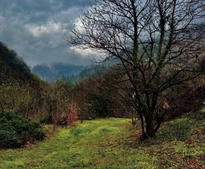 Závada – 1.834 m2 LESOV (Urbáru) – PREDAJ