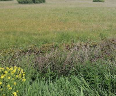 Pozemok na predaj na výstavbu haly v priemyselná zóna Sučany
