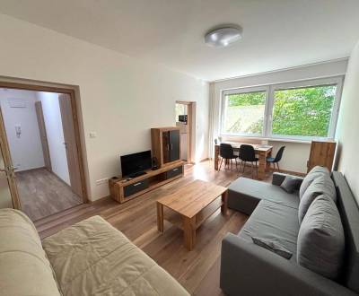 Moderný, slnečný 2i byt 48 m2, s balkónom, po rekonštrukcií 