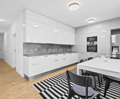 Priestranný 4-izbový byt s terasou v projekte SLNEČNICE,