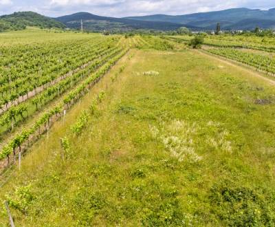 Pozemok s veľkým potenciálom v Pezinku s výmerou až 5190 m2