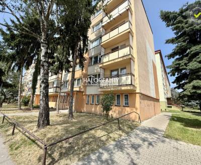 Predaj, dvojizbový byt Rimavská Sobota, Jánošíkova -...