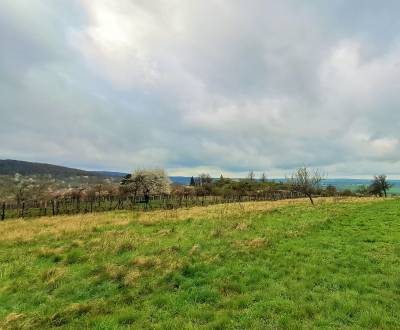 Rekreačný pozemok 2.750 m2, šírka 21 m, Jabloňovce (SM - 830) 