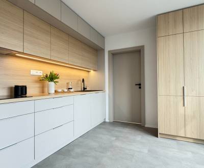 Veľký 3-izbový byt  na Trenčianskej ulici v Novej Dubnici 