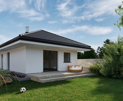 4iz Novostavba ( posledný dom ) Veselé pri Piešťanoch