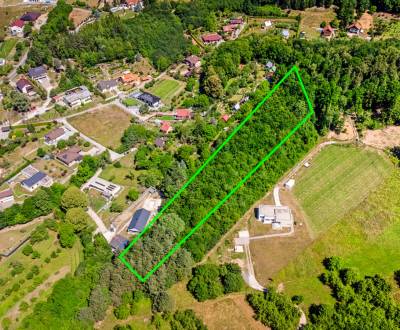 Pozemok s VEĽKÝM potenciálom_Vieska - Bezdedov (6441 m²)