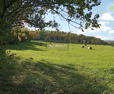 Predaj, pozemok pre rodinný dom   1000 m2 Horný Tiso...