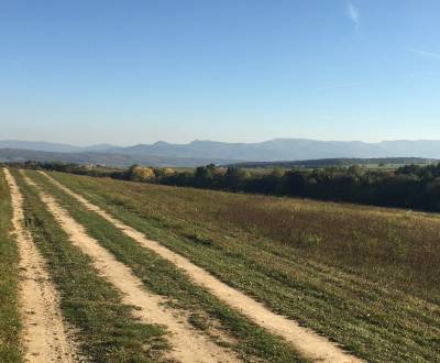 Prievidza – 986 m2 ORNÁ PÔDA - PREDAJ
