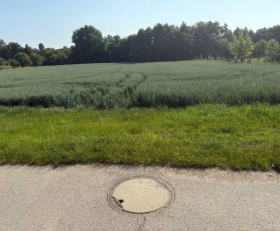 BOJNA - pozemok vo vybornej ulici, možnosť rozparcelovania