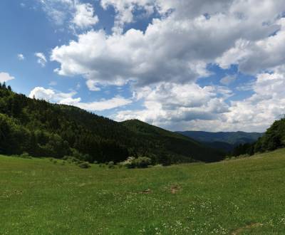 Čavoj – Spoluvlastnícky podiel na lesoch (urbár)