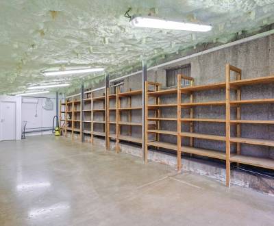 TRNAVSKÉ MÝTO - šikovný priestor, 56 m2 v TOP LOKALITE s parkovaním
