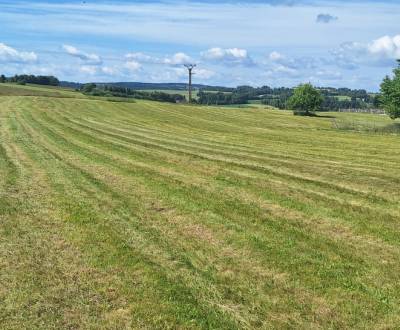 Pozemok 5058 m2  na predaj, Detvianska Huta 
