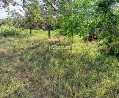 Predaj, pozemok pre rodinný dom   600 m2 Horná Streda