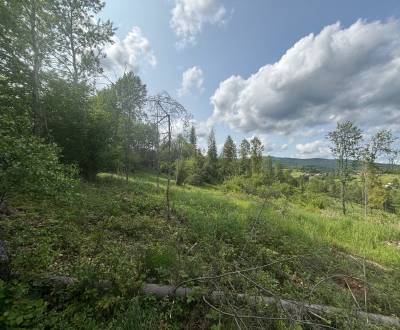 Predaj lesného pozemku v Rakovej- pri rybníku