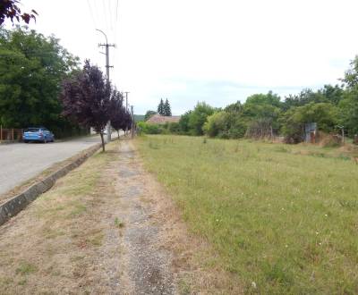 Na predaj pozemok 916 m 2  v Malých Kosihách, len 16 km od Štúrova.