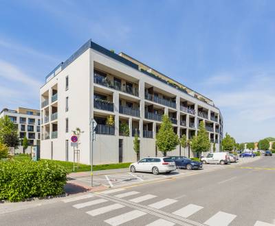 Pozrite si IDEÁLNU INVESTIČNÚ/ŠTARTOVACIU GARSÓNKU, PARKING, LOGGIA