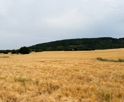 Vysoká pri Morave – Podiely na poľnohospodárskej pôde