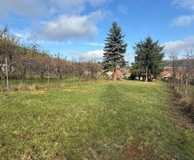 PREDAJ - STAVEBNÝ POZEMOK - SKÝCOV