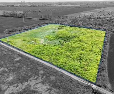 Zemplínske Kopčany – Investičný pozemok vo výlučnom vlastníctve 1/1