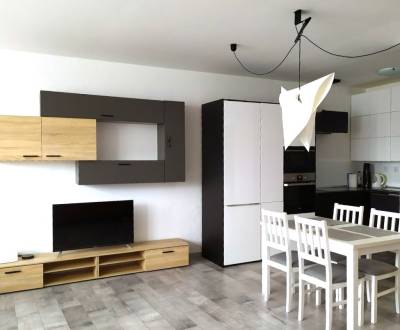 VELKOMETRÁŽNY 1 IZB.AP.BYT- TRNAVSKÁ CESTA, NOVÉ MESTO,BRATISLAVA