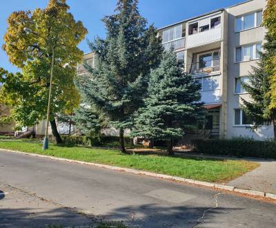 Prenájom - 3-izb.byt, Terasa - Mikovíniho 