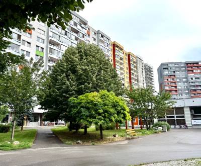 Na prenájom 1 izbový byt, 35 m2, Bratislava, Petržalka, Fedinova ulica