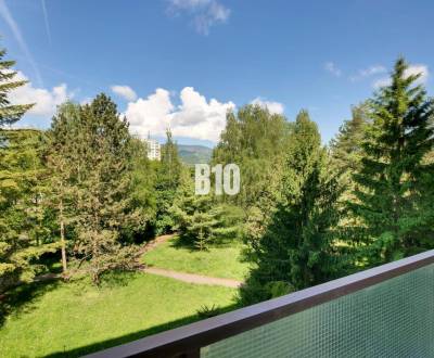 Priestranný 3-izbový byt 83,5m2  s parkom a zelenými výhľadmi, Ul. Výc