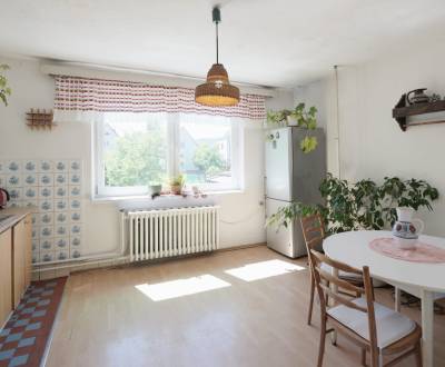 Rodinný dom s veľkým pozemkom - Orlové