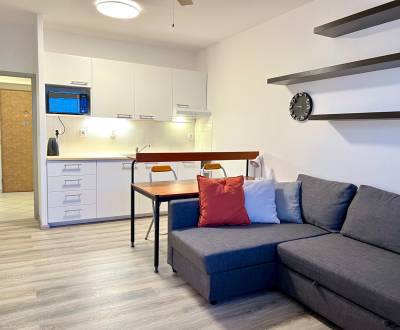 Na prenájom 1 izbový byt, Bratislava, Petržalka, Budatínska ulica