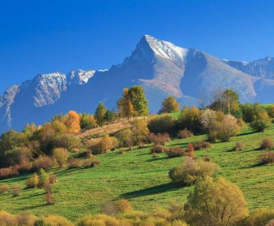 65.000 m2 lesov priamo v TANAPe, pod Roháčmi 