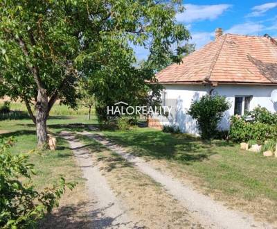 REZERVOVANÉ - Predaj, rodinný dom Buzitka, Dora - EX...