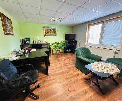 RODINNÝ DOM NA BÝVANIE A PODNIKANIE,1630 M2, SABINOVSKÁ Ul., PREŠOV