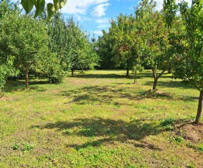 Na predaj stavebný POZEMOK  s Benefitmi Selice okr. Šaľa 