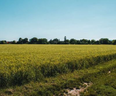 Výrava – Podiely na poľnohospodárskej pôde