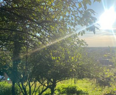 ViNi real - Exkluzívny pozemok v Stupave, 2163 m2, VIS 