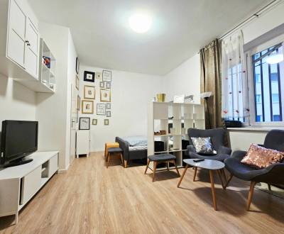 REZERVOVANÝ - Útulný  1 izbový  byt  v Trenčíne 