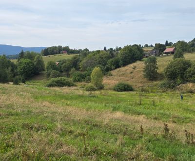 ROZĽAHLÝ REKREAĆNÝ POZEMOK, DETVIANSKA HUTA - BRATKOVICA