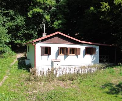 Murovaná chata pod lesom, Píla