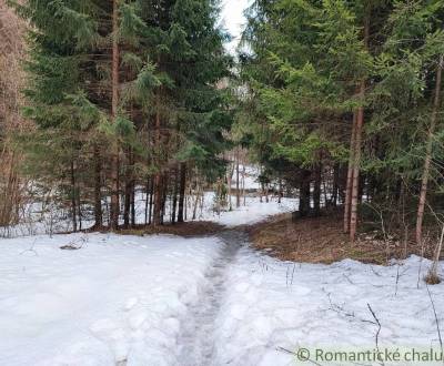 Pozemok pri potoku v lese, Nízke Tatry