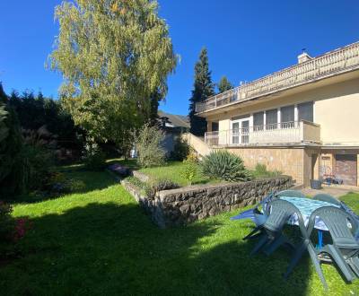 Vila, 6 i, aj pre dve rodiny, na firmu , so záhradou  v centre Senice.