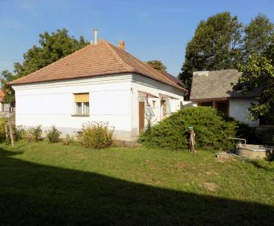 Na predaj 4 izb.dom s veľkou záhradou   3304 m2 v Rúbani  pri Štúrove 