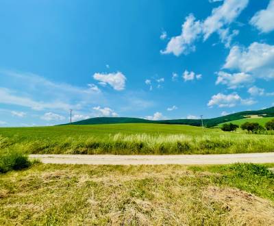 Na predaj orná pôda 9506 m2 Kolačno