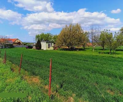 Na predaj stavebný pozemok 1678 m2 Bošany - Baštín 40 m x 42 m