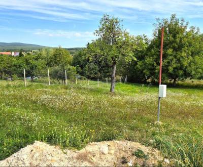 Pozemok na predaj - Závada, okr. Topoľčany